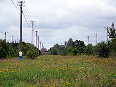 min 510 4.jpg min 510 4.jpg